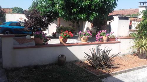 a bunch of potted plants sitting on a wall at APPARTEMENT T2 PLAIN PIED in Labastide-Saint-Georges