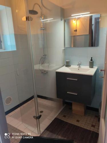 une salle de bain avec une douche en verre et un lavabo dans l'établissement gite 4 pers a ROUZE, à Rouze