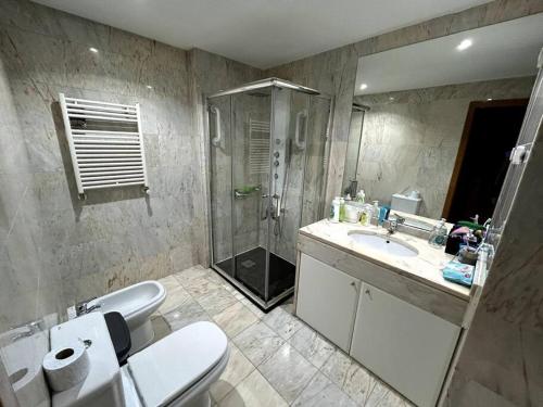 y baño con aseo, lavabo y ducha. en Eixo Atlântico, en Bragança