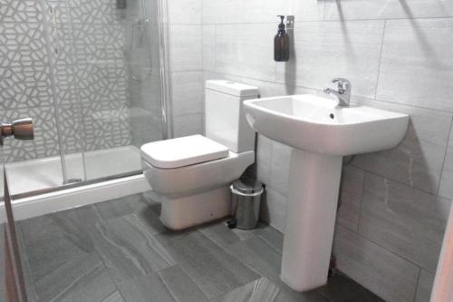 a bathroom with a toilet and a sink and a shower at Claremont Hotel in Nottingham