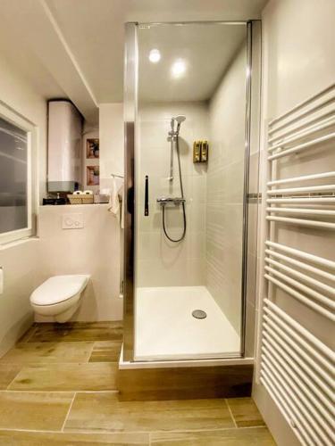 une salle de bain avec douche et toilettes dans l'établissement LUX Le MARQUIS, à Saverne