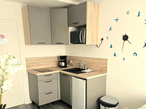 une cuisine avec un évier et un comptoir avec des oiseaux sur le mur dans l'établissement studio la poupe, à Saint-Méloir-des-Ondes