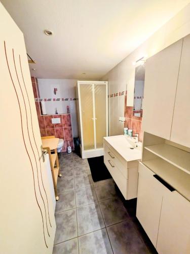 une petite salle de bain avec un lavabo et une douche dans l'établissement appart proche de la frontière, à Les Gras