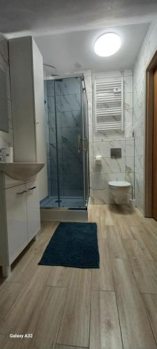 a bathroom with a shower and a sink and a toilet at Apartament centrum Jura Żarki in Żarki