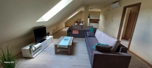 a living room with a couch and a tv at Apartament centrum Jura Żarki in Żarki