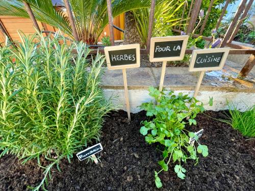 a group of signs in a garden with plants at Villa provençale Golfe St Tropez climatisée piscine chauffée, Spa, billard, Wifi haut débit pro in Gassin