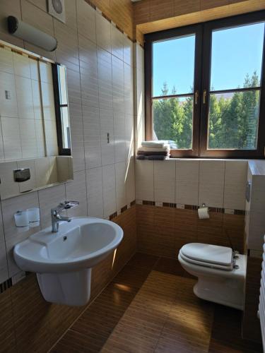 baño con lavabo, aseo y ventanas en Grzechowisko, en Wetlina