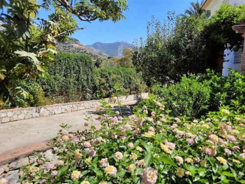 a garden with pink flowers in a yard at Villa Puerto de la Luz in Mijas