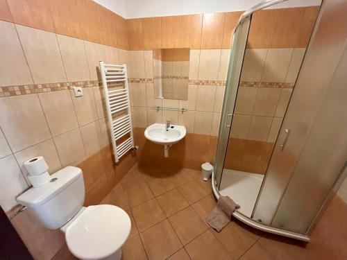 a bathroom with a toilet and a shower and a sink at Penzion Krmelec in Chrudim