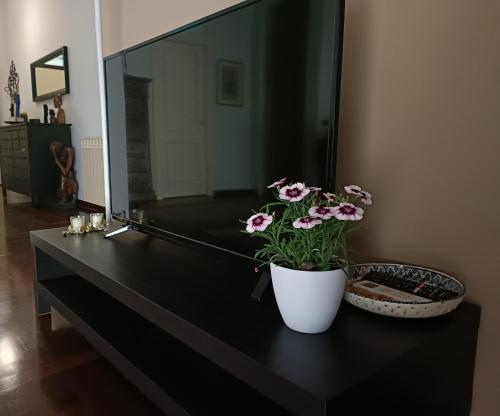 onoratocinque house apartment photo 7