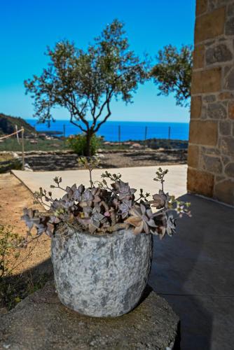 a large stone planter with a plant in it at Athina's Stone House in Kardamyli in Kardamili