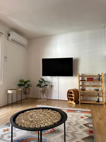 TV a/nebo společenská místnost v ubytování Rusta Apartments