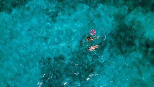 an overhead view of a person in the water with a beach ball at Casa Al Mar, St. George's Caye - Belize in Belize City