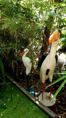 two birds standing next to each other in the grass at Posada Ribera del Gualeguaychu in Gualeguaychú