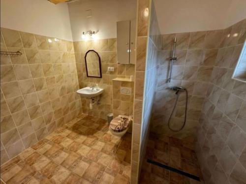e bagno con doccia, servizi igienici e lavandino. di Oliva Verde Apartman a Bárdudvarnok