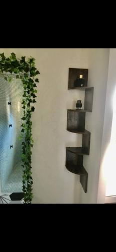 une étagère sur un mur avec une plante sur elle dans l'établissement Studio de charme - coeur de ville, à Perpignan