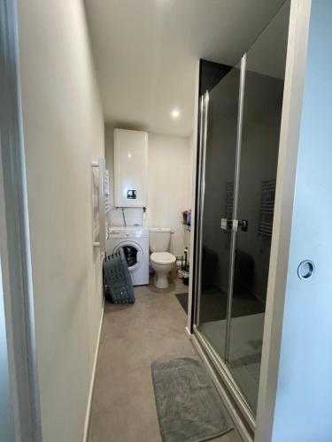 a bathroom with a toilet and a walk in shower at Studio centre ville Mont-de-Marsan in Mont-de-Marsan