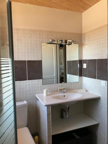 une salle de bain avec un lavabo, des toilettes et un miroir dans l'établissement Grande maison de vacances - Montagne Pyrénées, à Planès