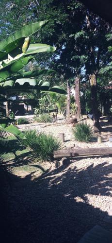 a park with a bench and some plants and trees at Casa Dos Artistas in Penedo