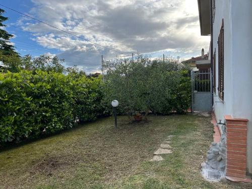 a yard with some bushes and a house at Il nido dell'abete in Borgo a Buggiano