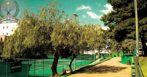 a tennis court with a tree on a tennis court at Tola Dream Apartment in Sassari