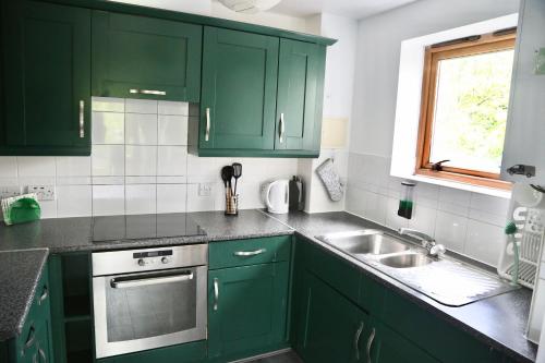 a kitchen with green cabinets and a sink at Modern Spacious Apartment in Thornton Heath