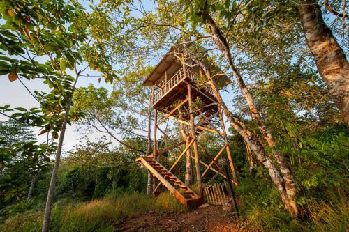 a tree house in the middle of a forest at Osa Conservation Campus in Cabo Matapalo