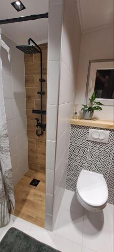 a bathroom with a toilet and a shower at Brvnara Morava in Ovčar Banja