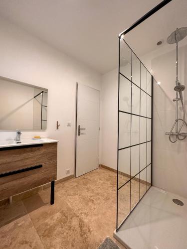 une salle de bain avec un lavabo et un miroir dans l'établissement Maison : L'Appart des Anges 10 personnes, à Althen-des-Paluds