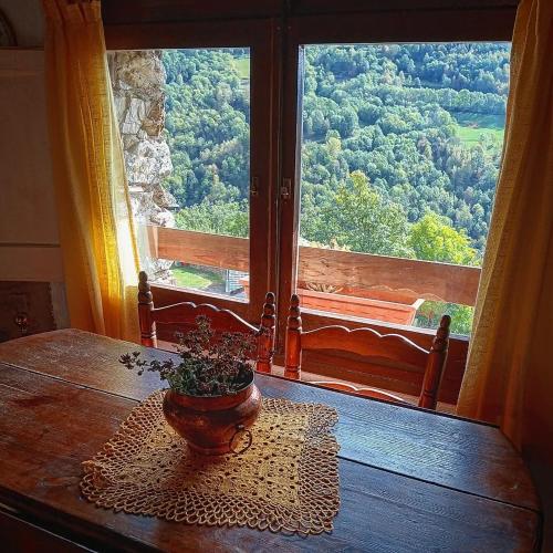 a table with a potted plant on a table with a window at Masia Can Constans in Queralbs