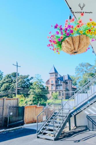 a basket of flowers hanging from a stair case at The Moose #11 - Luxe Modern loft with King Bed, Free Parking & Wi-Fi in Memphis