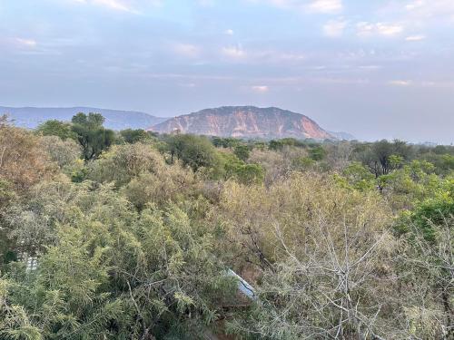 a mountain in the middle of a forest with trees at Namastay farm in Jaipur