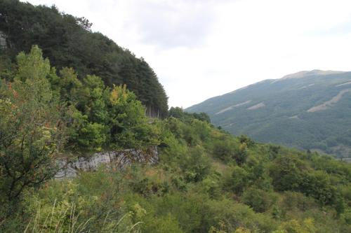 Φυσικό τοπίο κοντά σε αυτό το ξενοδοχείο