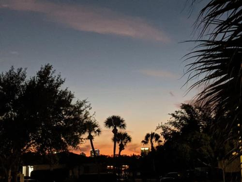 a sunset with palm trees on a city street at Private Access Suite in Family Home in Orlando