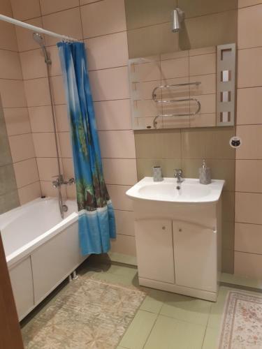 a bathroom with a tub and a sink and a shower at Vita apartment in Vilnius