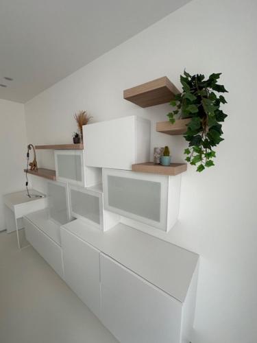 オーステンデにあるLuxe d’Oの棚と鉢植えのある白い壁