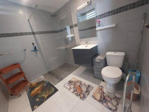 bagno con servizi igienici, lavandino e specchio di Kaz MADO - Meublé de tourisme - a Le Tampon