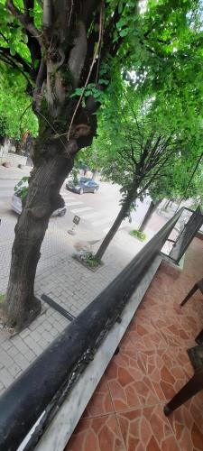 Fotografie z fotogalerie ubytování Fjori's Apartment v destinaci Korçë