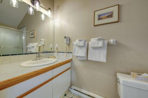 a bathroom with a sink and a mirror and a toilet at Marble Canyon in Fairmont Hot Springs
