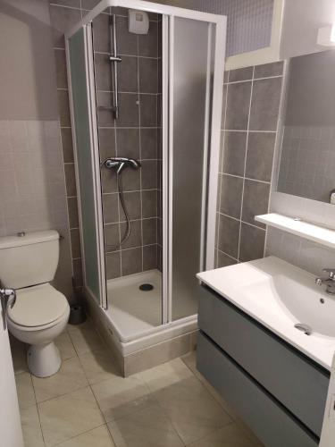 een badkamer met een douche, een toilet en een wastafel bij Les digitales appartement in Mont-Dore