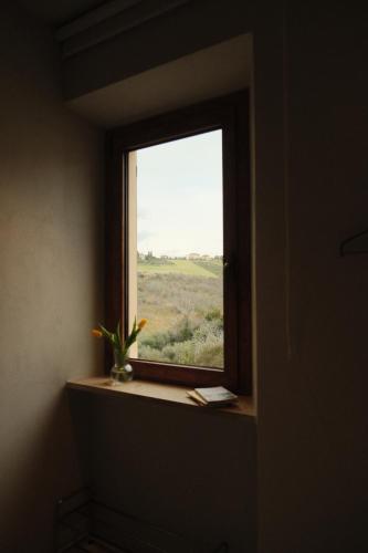 a window with a potted plant on a window sill at Famiglia Scirocco Guest House in Offida