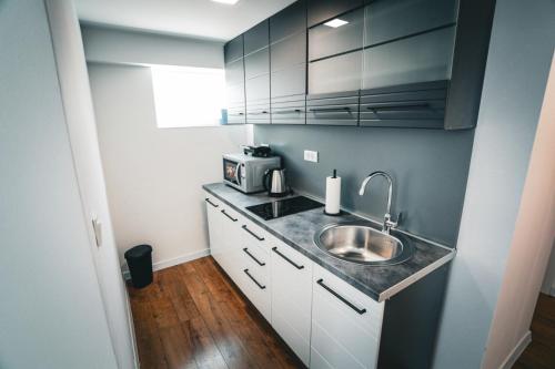 Kuchyň nebo kuchyňský kout v ubytování Apartmani Raguž, Ivankovo