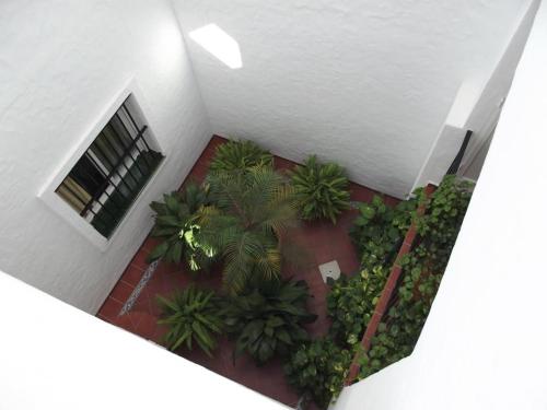 Apartamento CAMPANILLAS