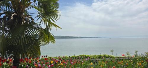 a palm tree and flowers next to a body of water at Penthouse Schloßbühl in Uhldingen-Mühlhofen