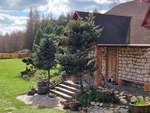 two trees in a yard next to a house at Harcówka in Miękisz Nowy