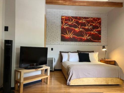 a bedroom with a bed and a flat screen tv at Coyoacan historico, museo Frida. in Mexico City