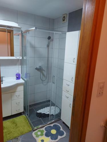 uma casa de banho com um chuveiro e um lavatório. em Stancicmilena em Pozarevac