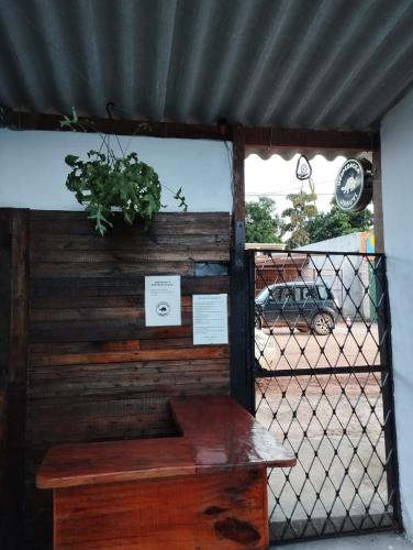 a bench in front of a gate with a plant at Hospedagem Jabuti no Centro de São Jorge in Sao Jorge