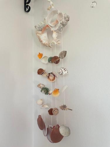 a bunch of shells hanging on a wall at Olea Mar apartma in Pobegi