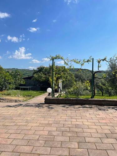 a brick walkway with trees in a park at Olea Mar apartma in Pobegi